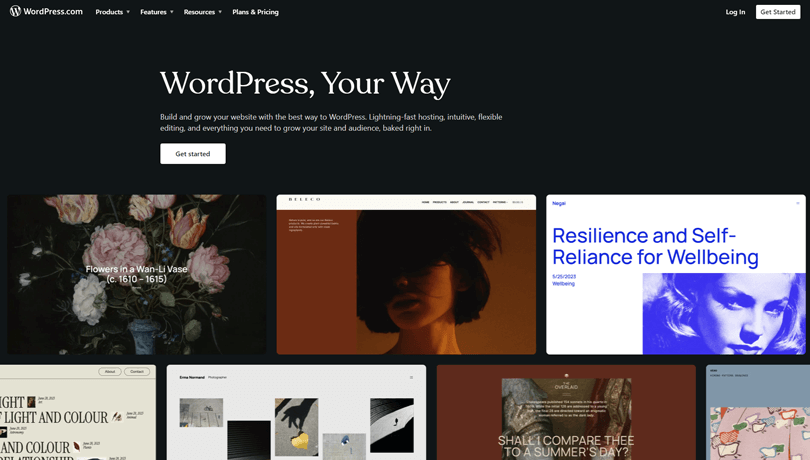 WordPress